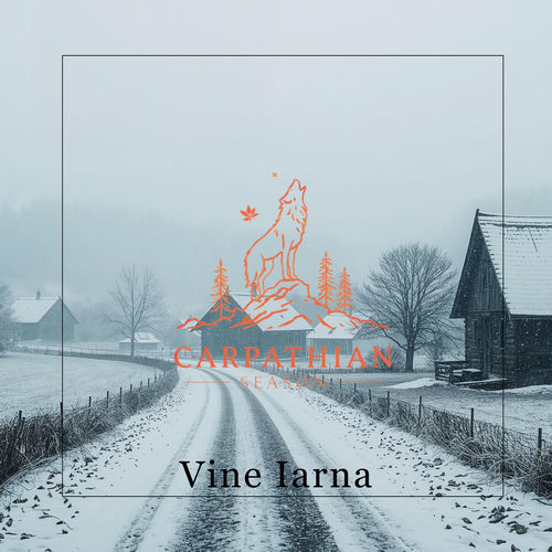 Vine Iarna cover art