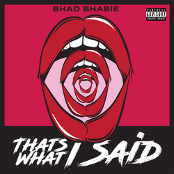 Cover of That's What I Said