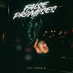 Cover of False Promises