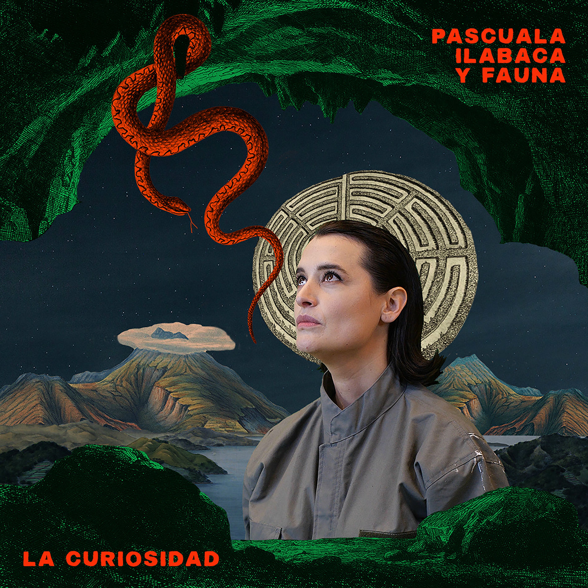 Album cover of La Curiosidad