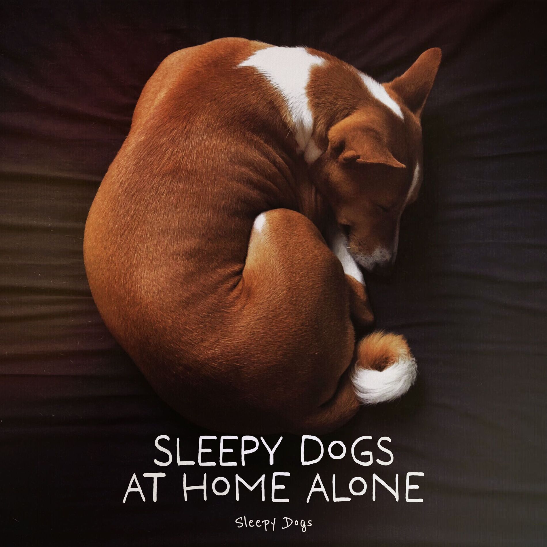 Album cover of Sleepy Dogs At Home Alone