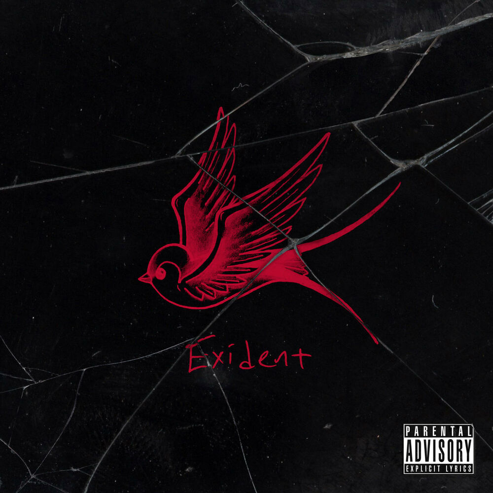 Picture of Exident