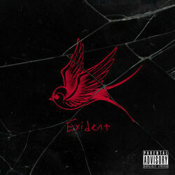 Cover of Exident