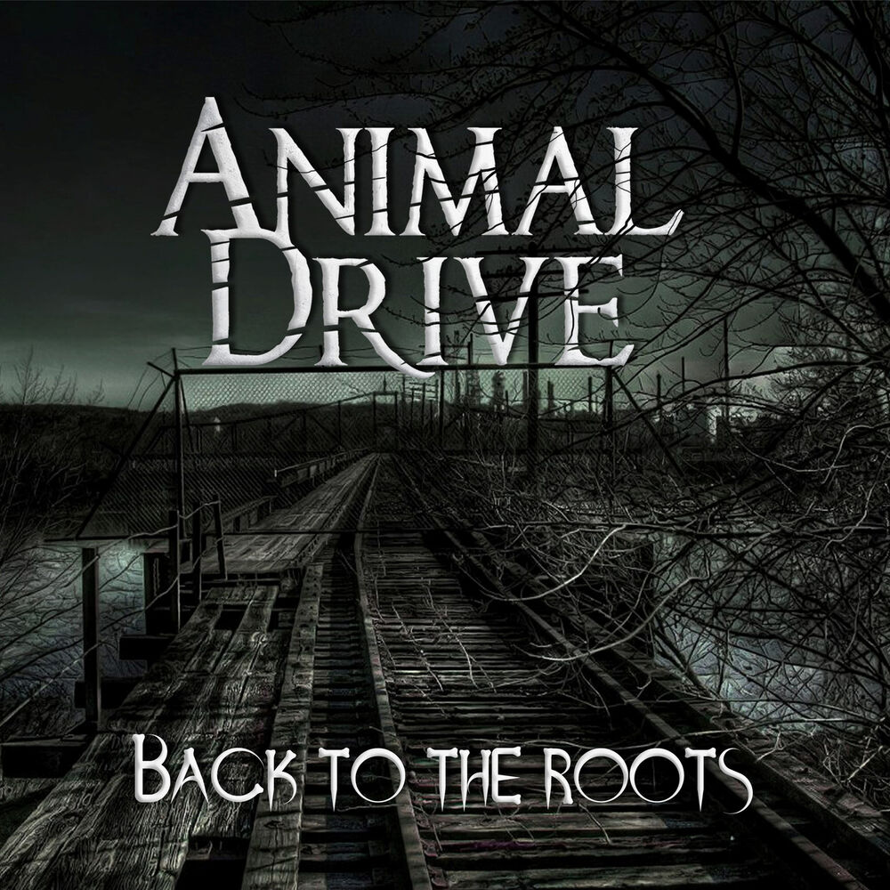 Picture of Back To The Roots