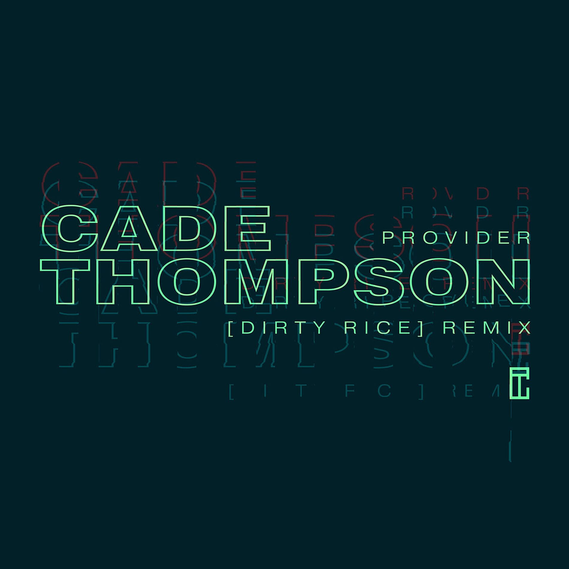 Album cover of Provider (Dirty Rice Remix)