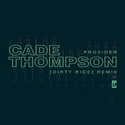 Cover of Provider (Dirty Rice Remix)