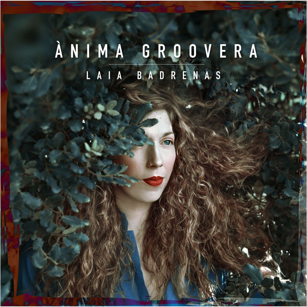 Album cover of Ànima Groovera