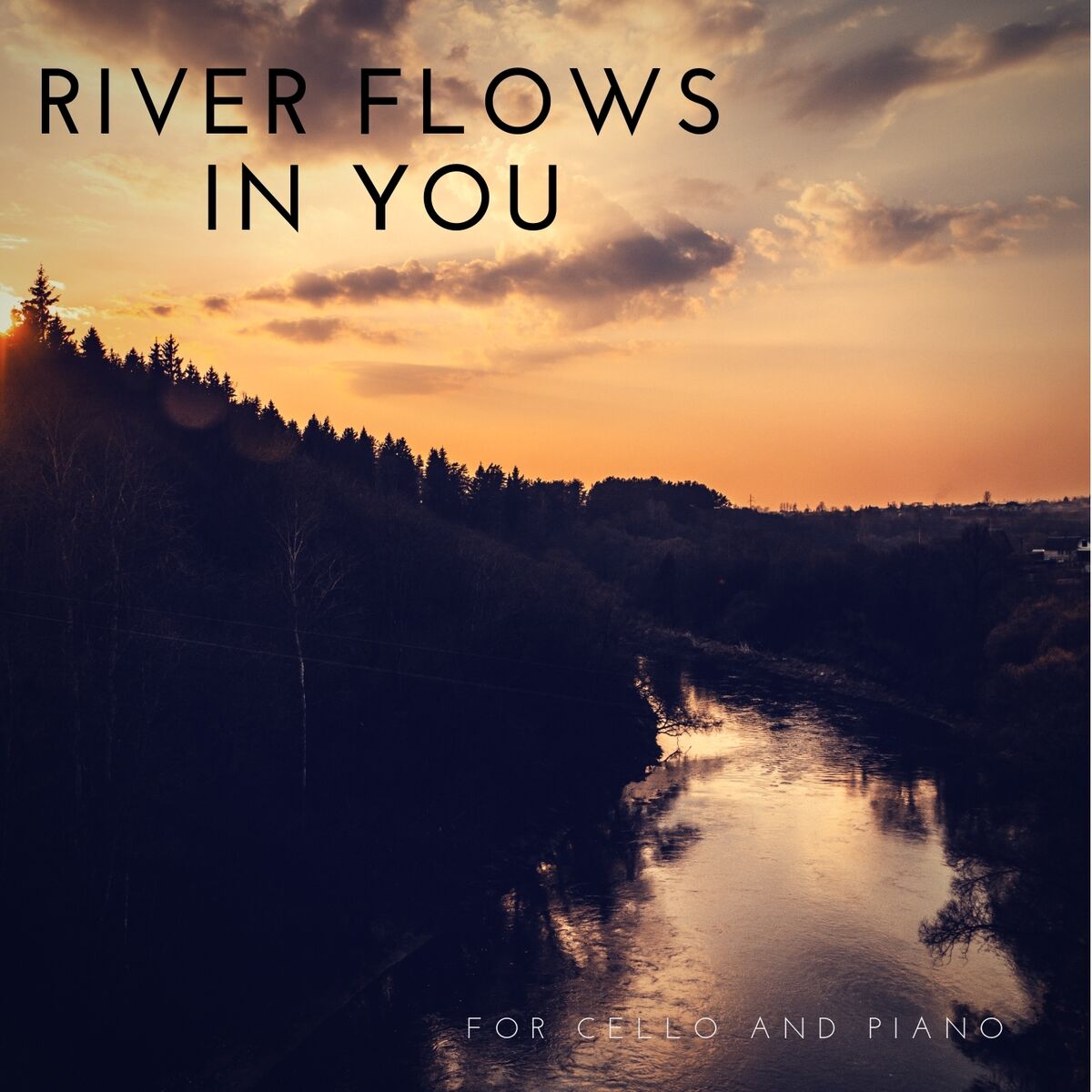 Album cover of River Flows in You