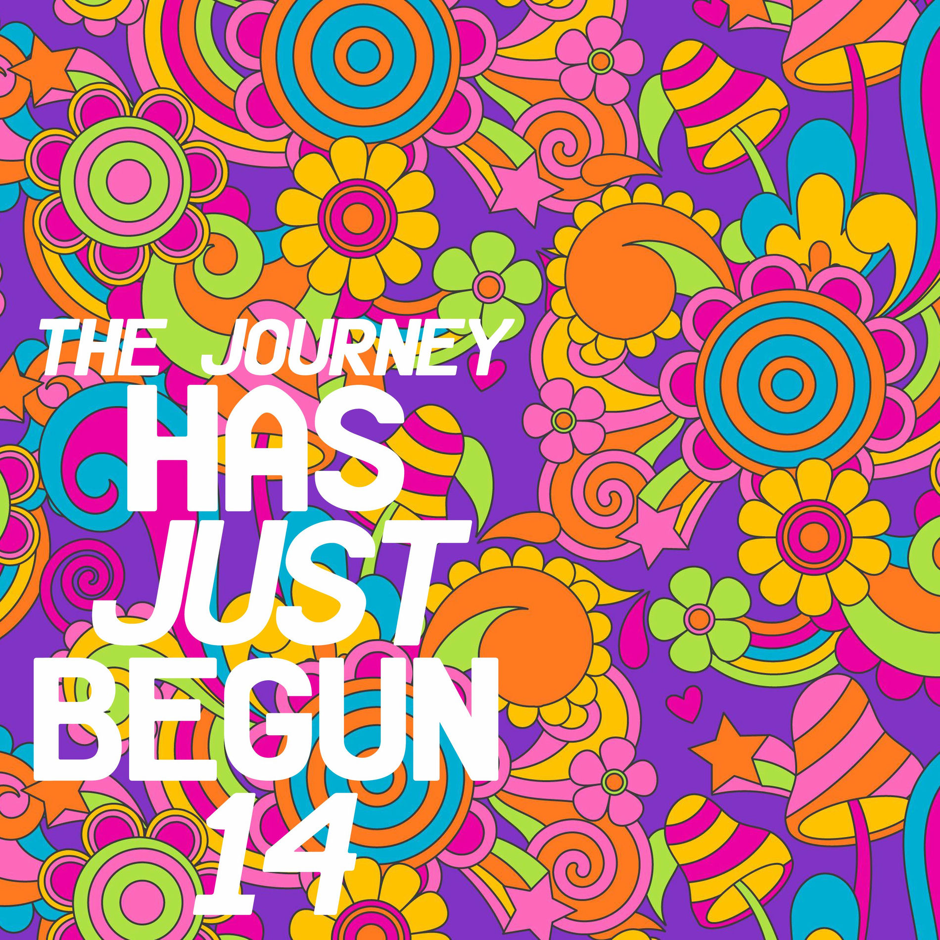 Album cover of The Journey Has Just Begun 14