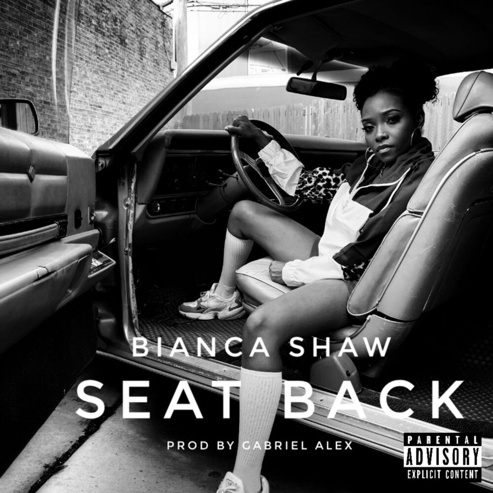 Picture of Seat Back