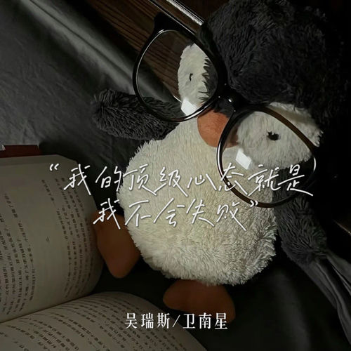 我的顶级心态就是我不会失败