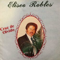 Cover of Cruz de Olvido