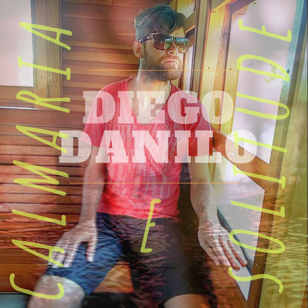 Album cover of Calmaria e Solitude