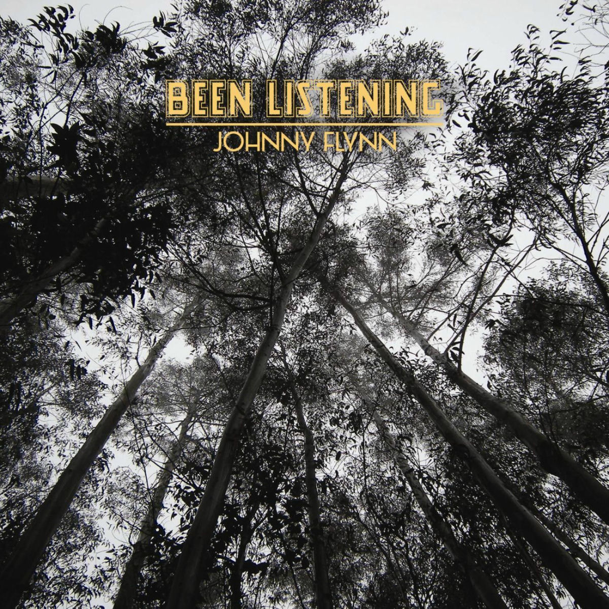 Album cover of Been Listening