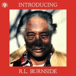 Cover of Introducing R.L. Burnside