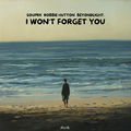 I Won't Forget You