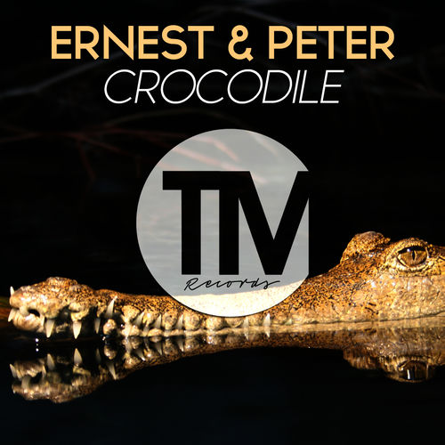 Crocodile