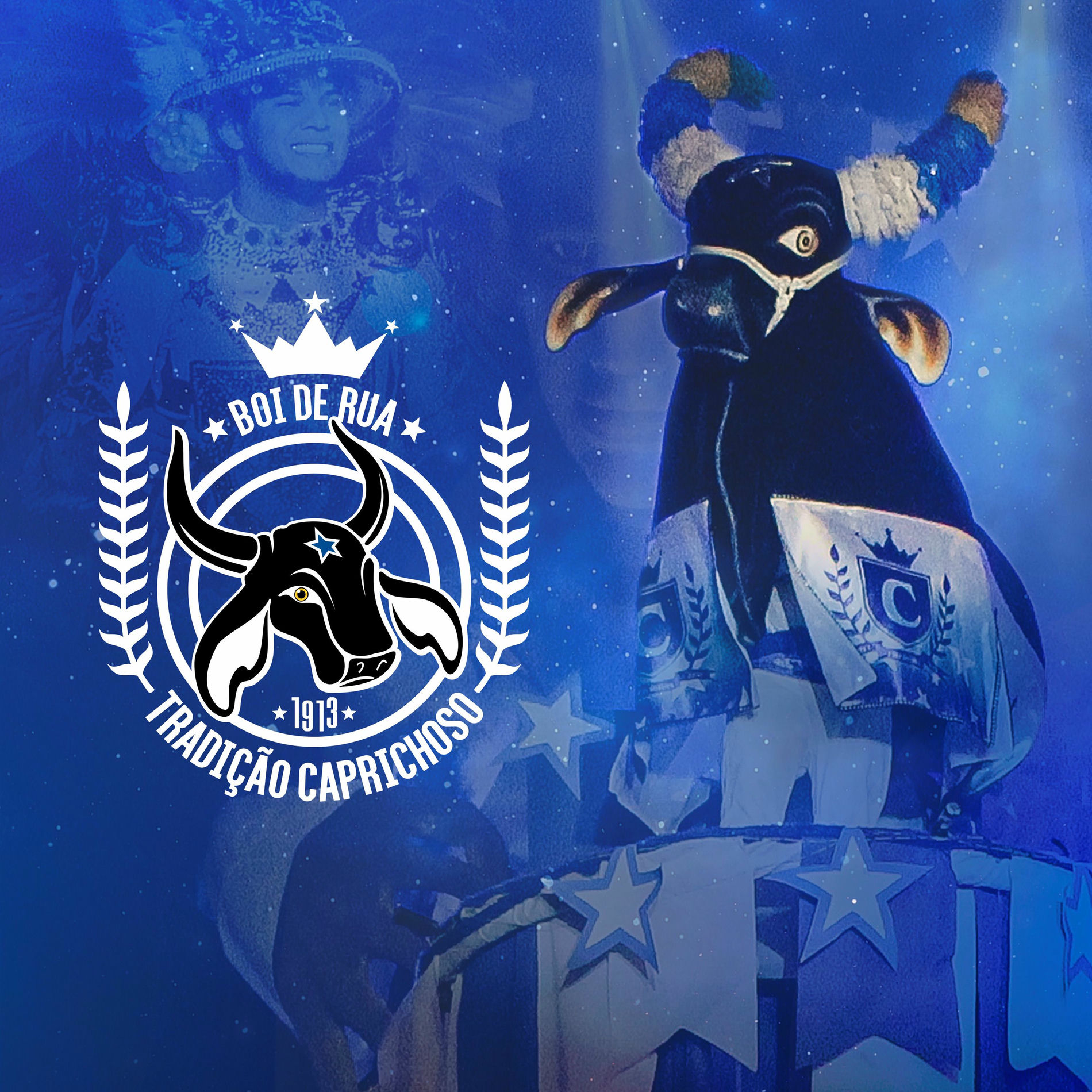 Album cover of Boi de Rua - Tradição Caprichoso
