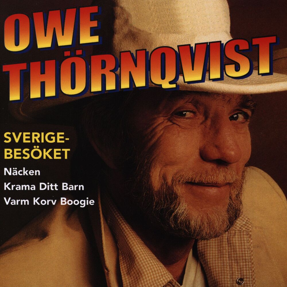 Picture of Sverigebesöket