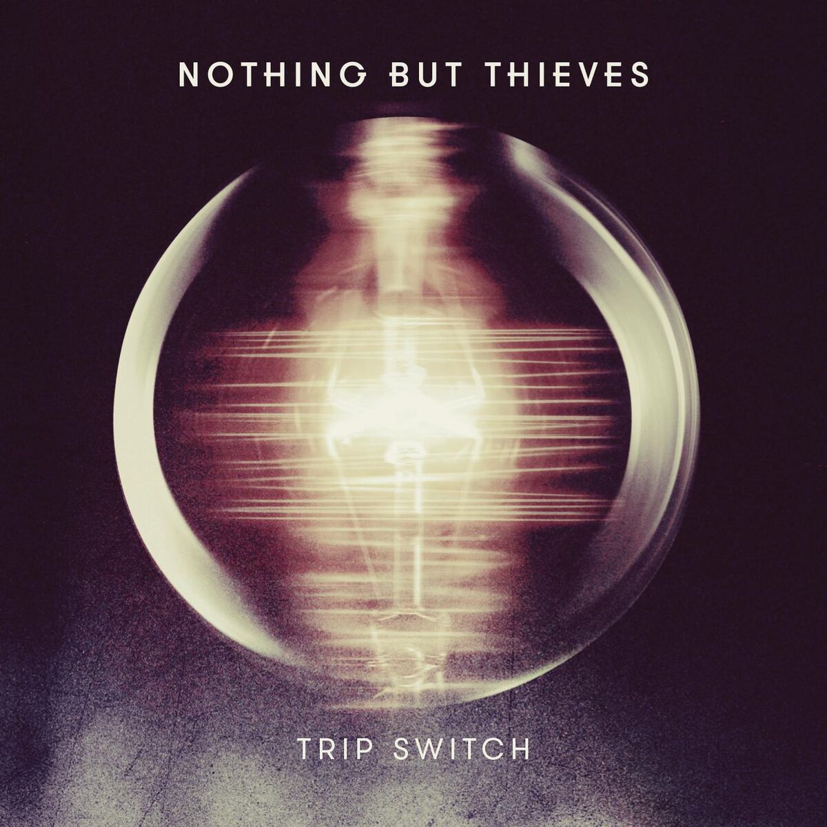 Album picture of Trip Switch