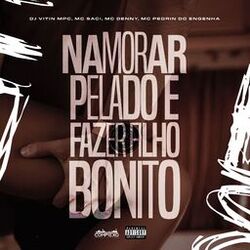 Cover of Namorar Pelado e Fazer Filho Bonito