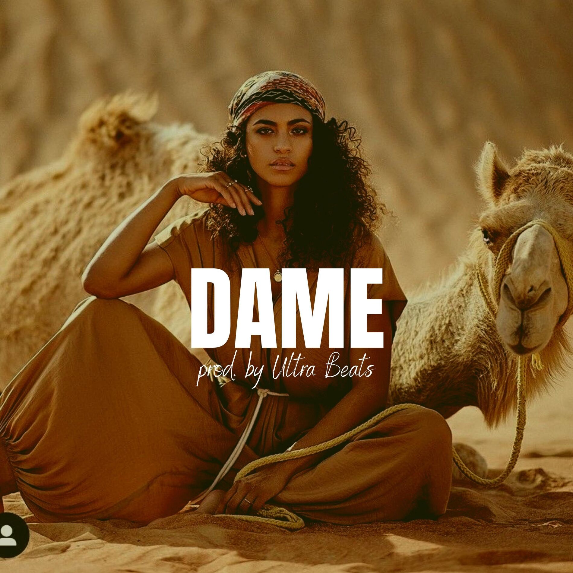 Album cover of Dame (Instrumental)