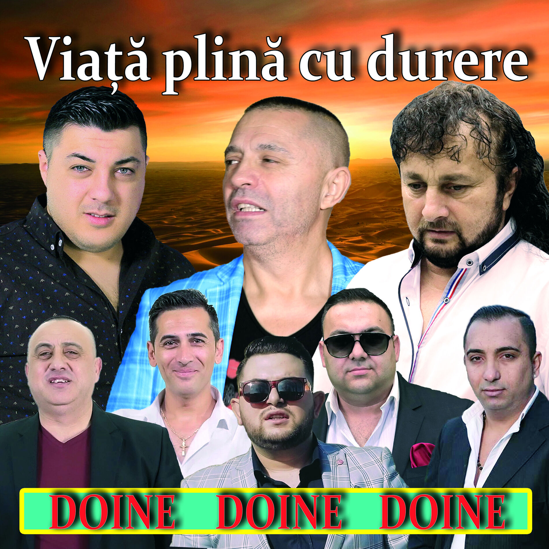 Album cover of Viață Plină Cu Durere - Doine