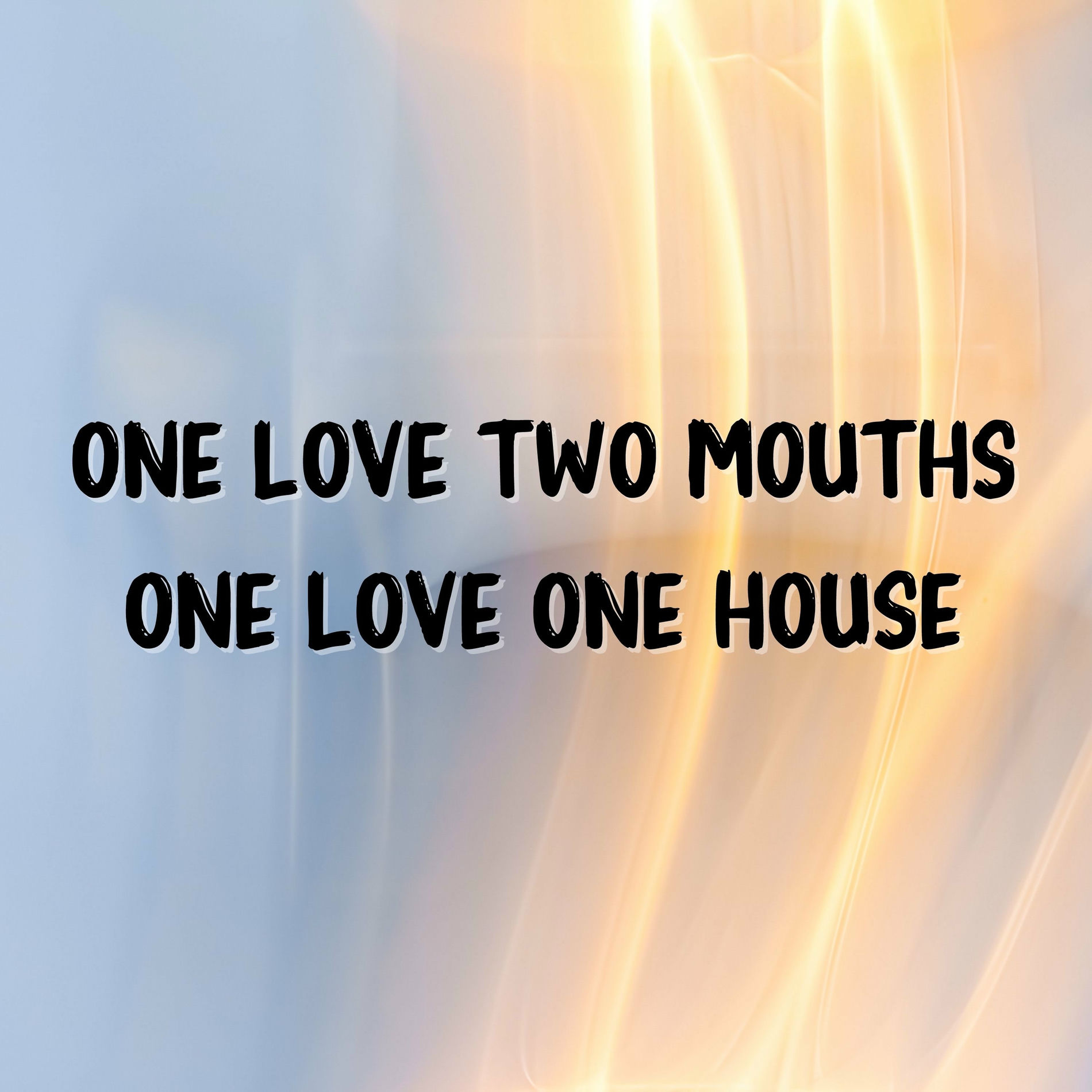 Album cover of One Love Two Mouths One Love One House