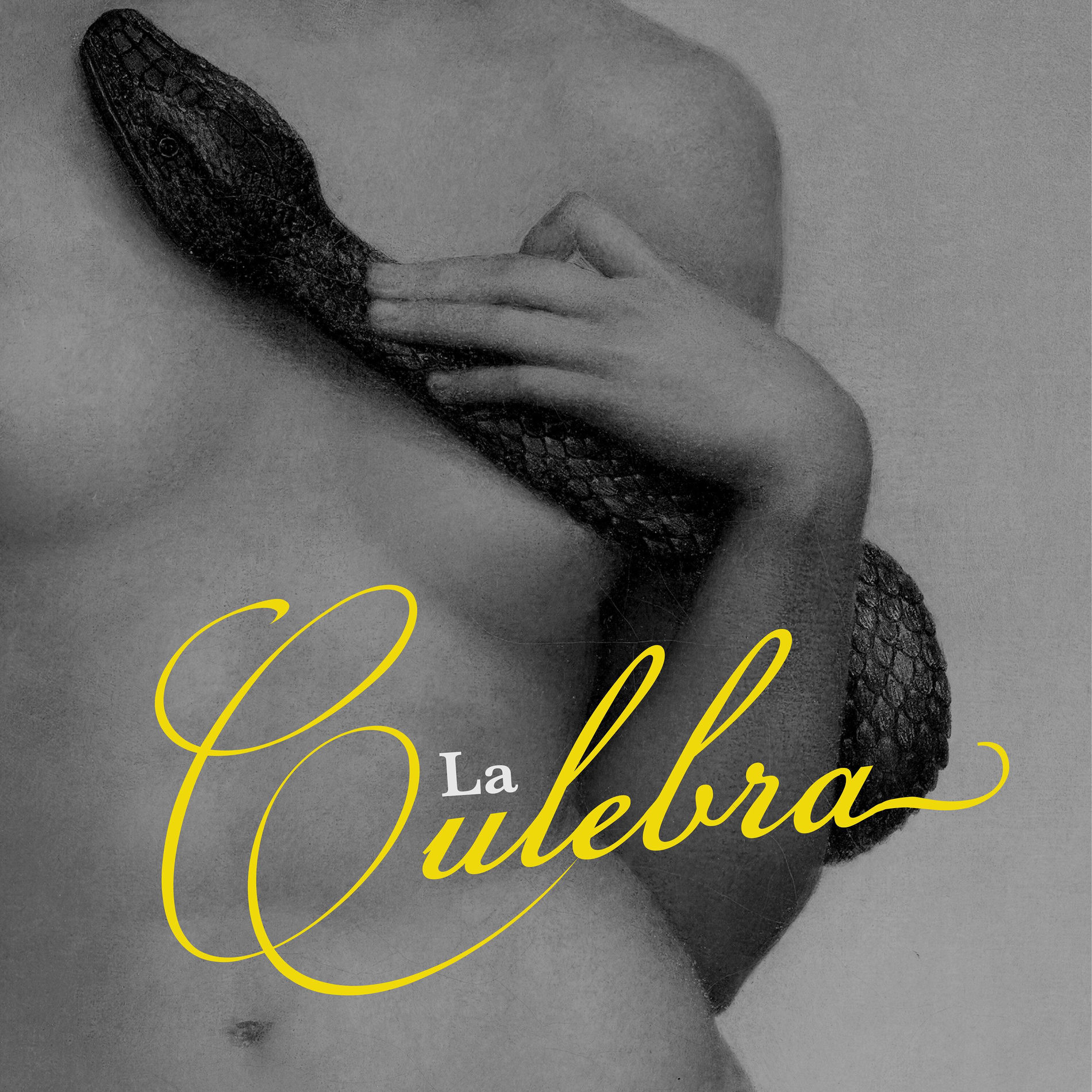 Album cover of La Culebra