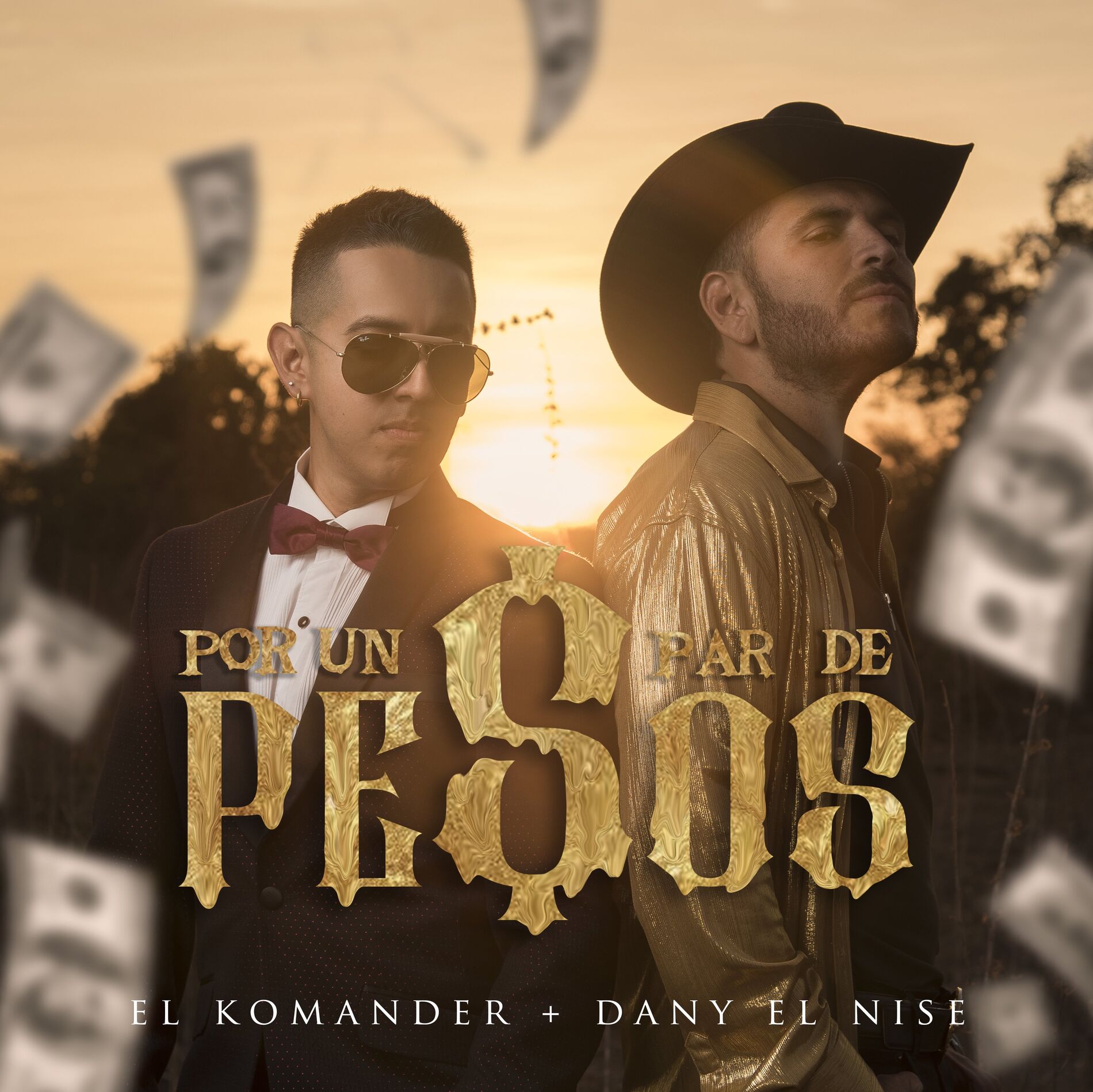 Album cover of Por Un Par De Pesos