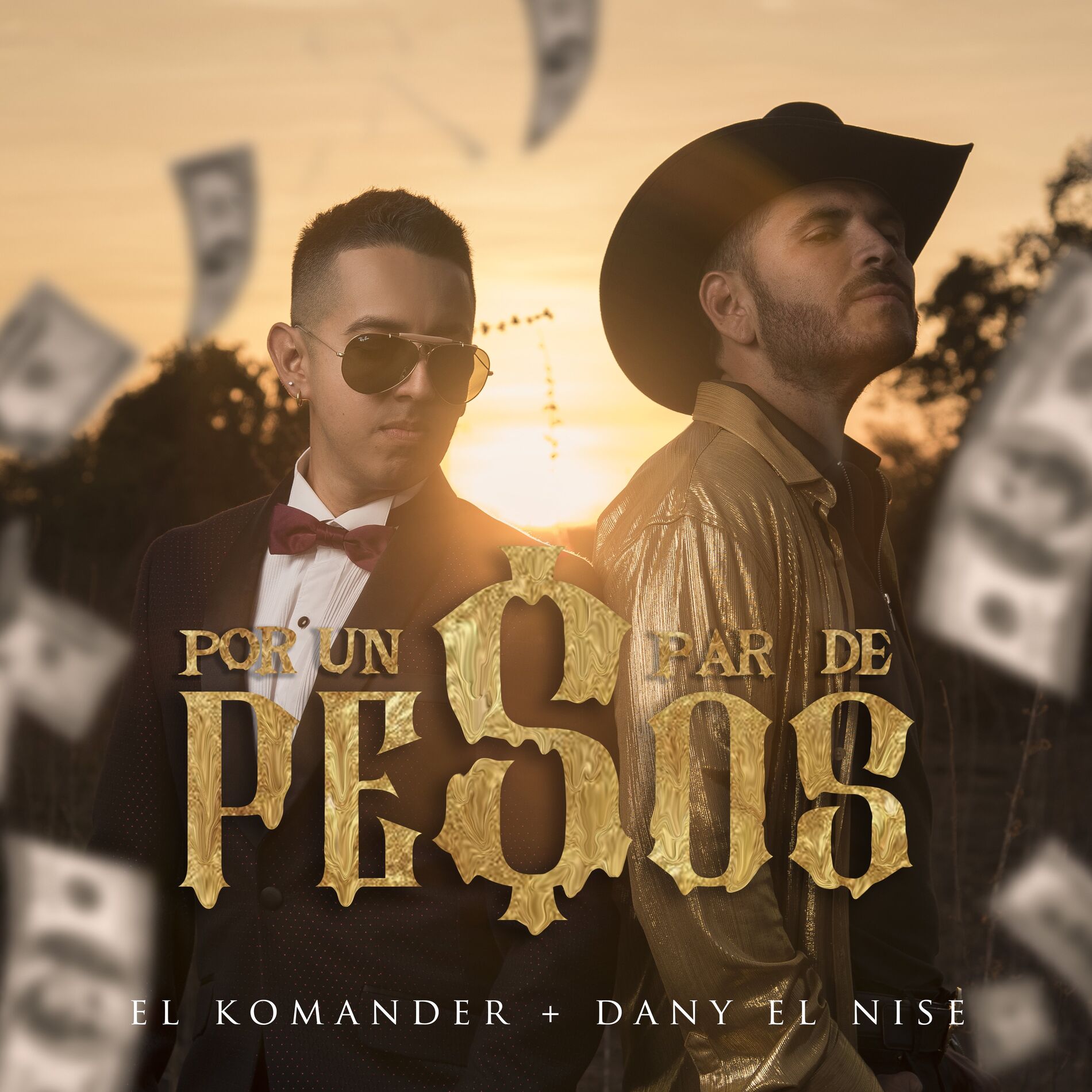 Album cover of Por Un Par De Pesos