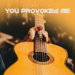 Cover of You Provoked Me