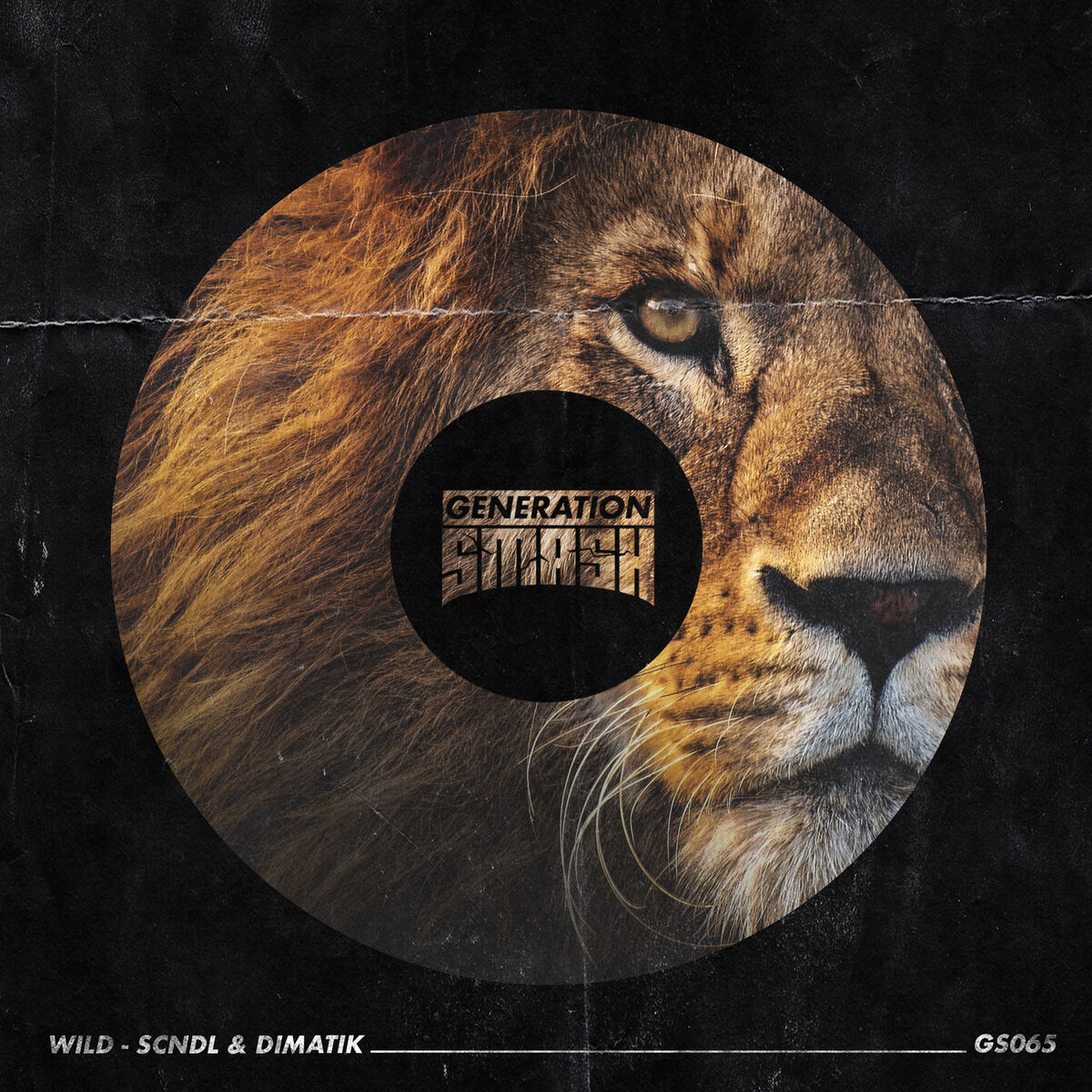 Album cover of Wild