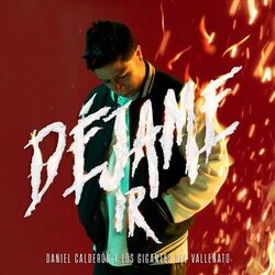 Cover of Déjame Ir