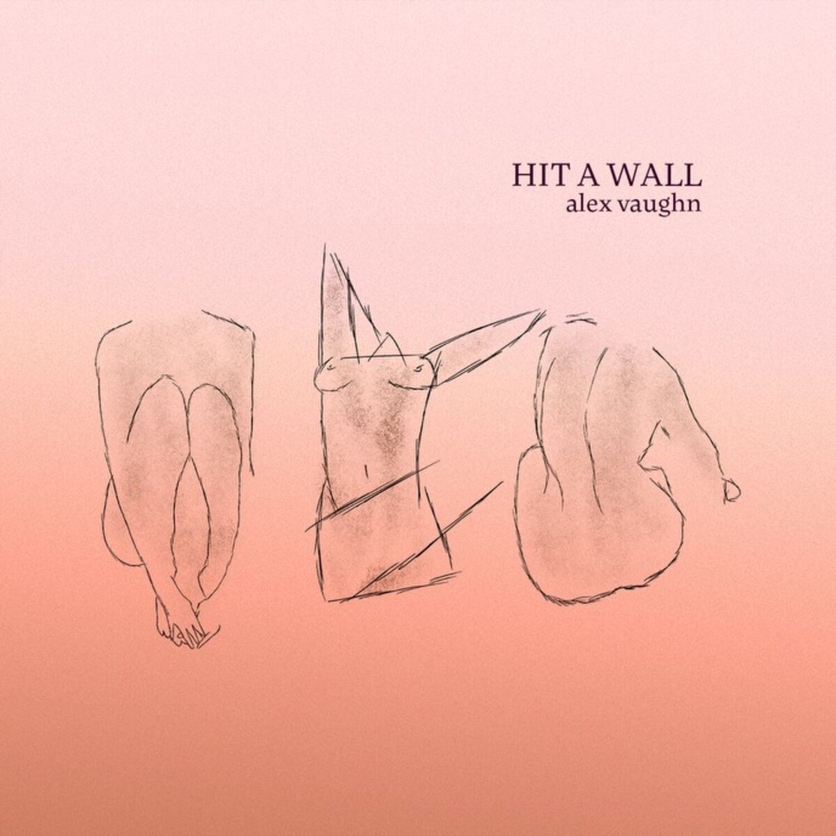 Album cover of Hit a Wall