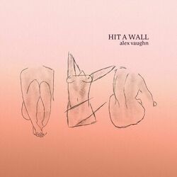 Cover of Hit a Wall