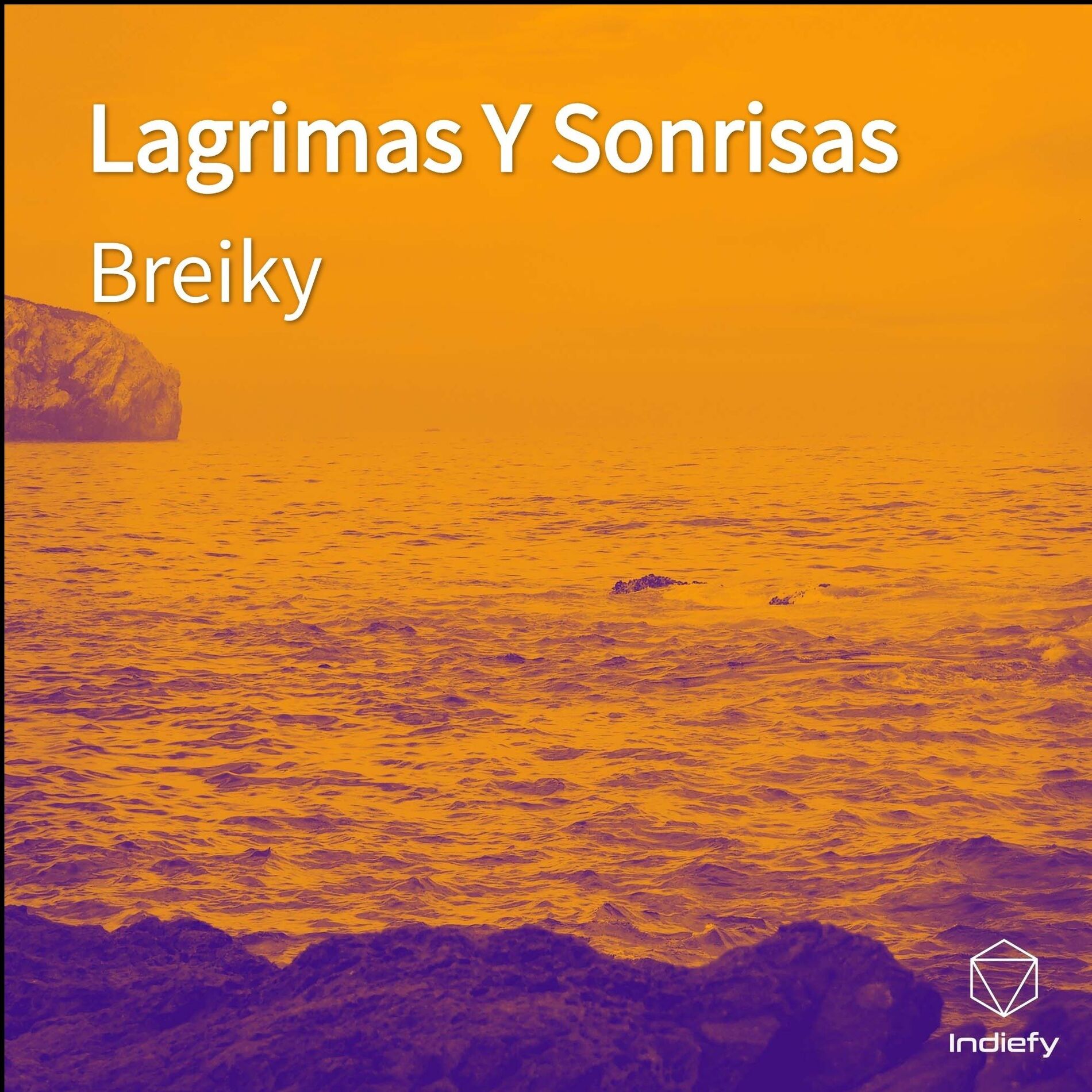 Album cover of Lagrimas Y Sonrisas