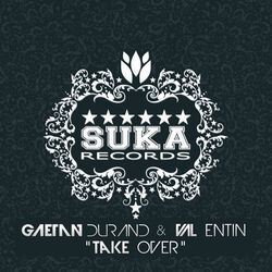 Cover of Take Over