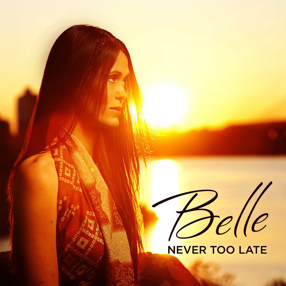 Picture of Never Too Late