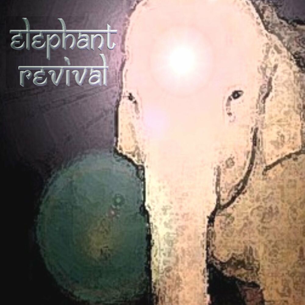 Picture of Elephant Revival