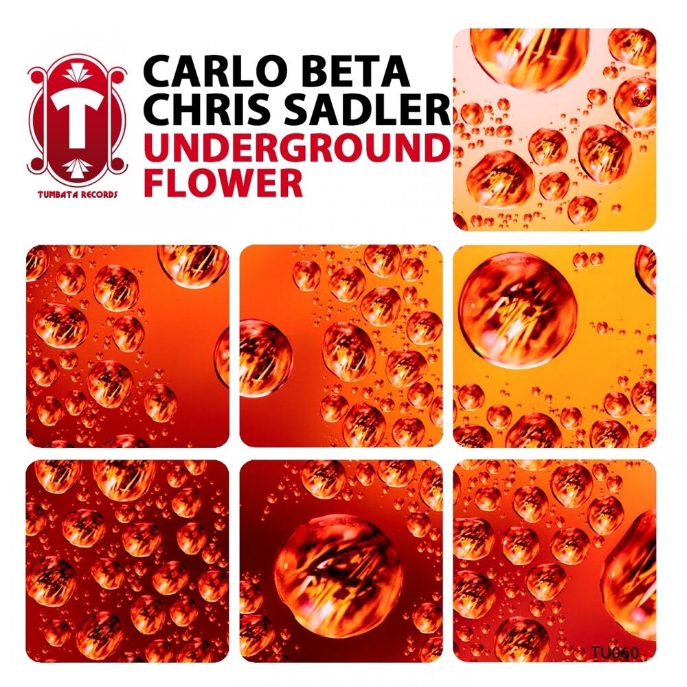 Picture of Underground Flower