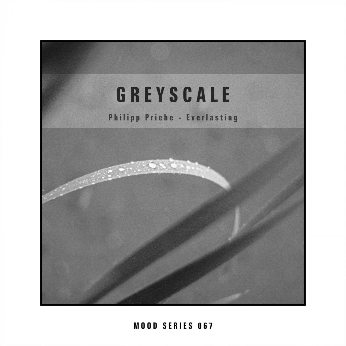 Album cover of Everlasting