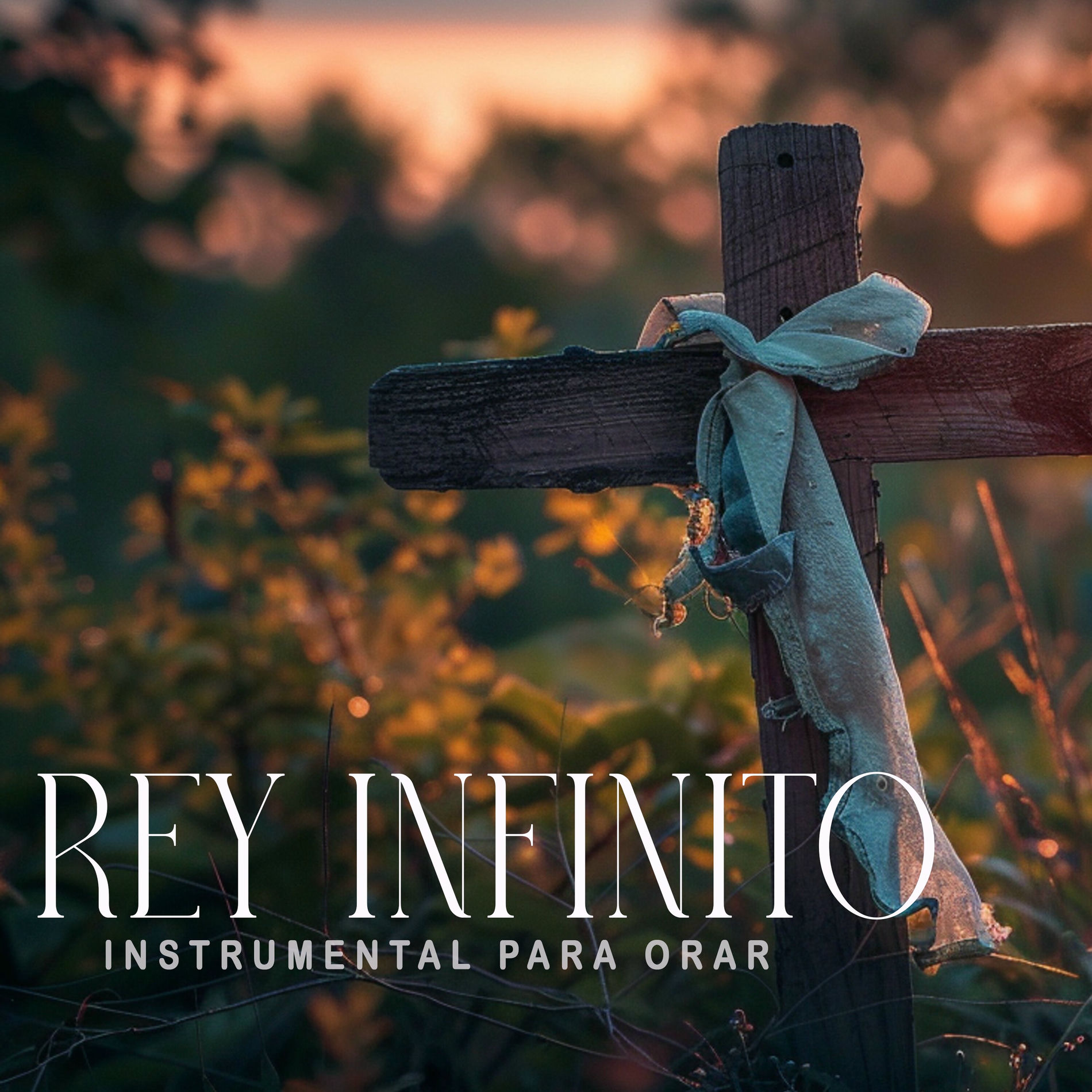 Album cover of Rey Infinito