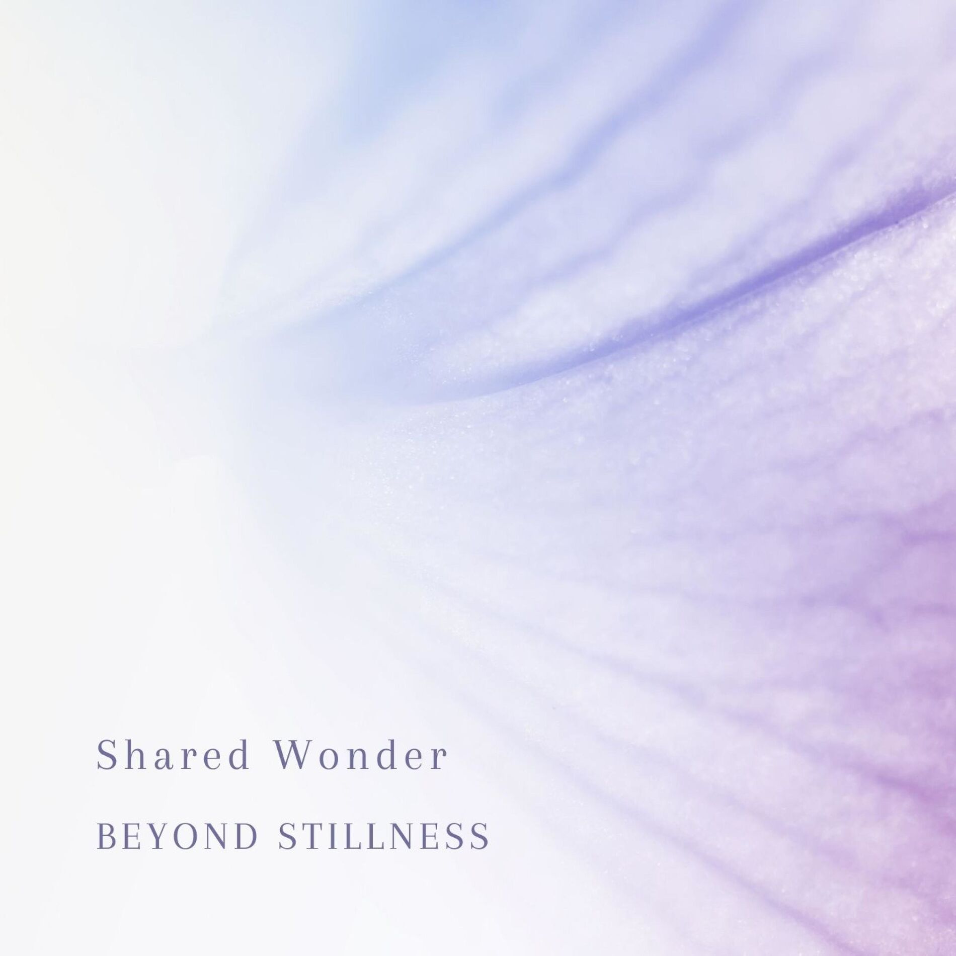 Album cover of Shared Wonder