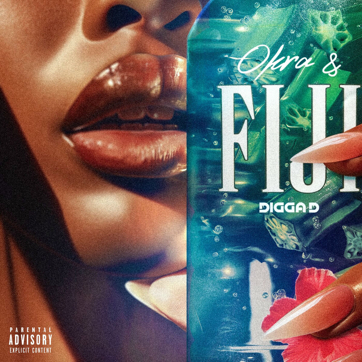 Album cover of Okra & Fiji