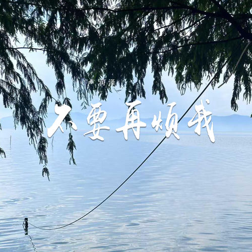 不要再烦我