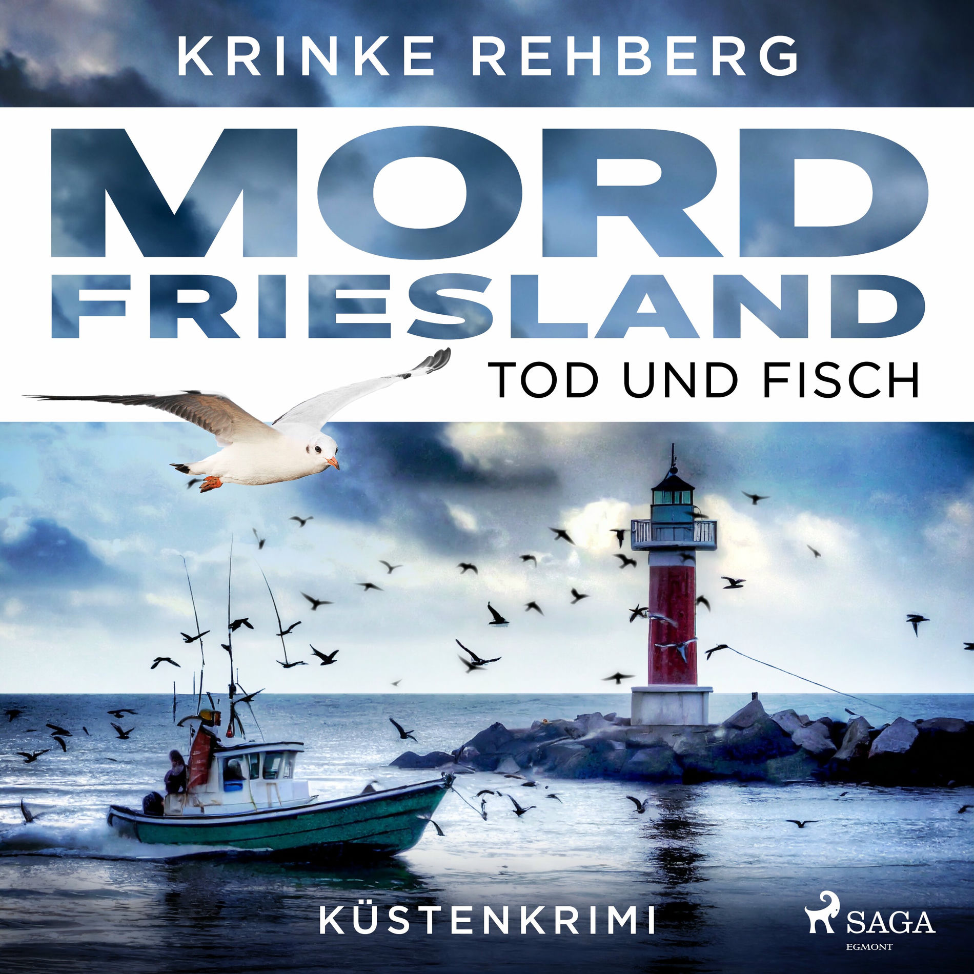 Album cover of Kapitel 01 - Mordfriesland: Tod und Fisch