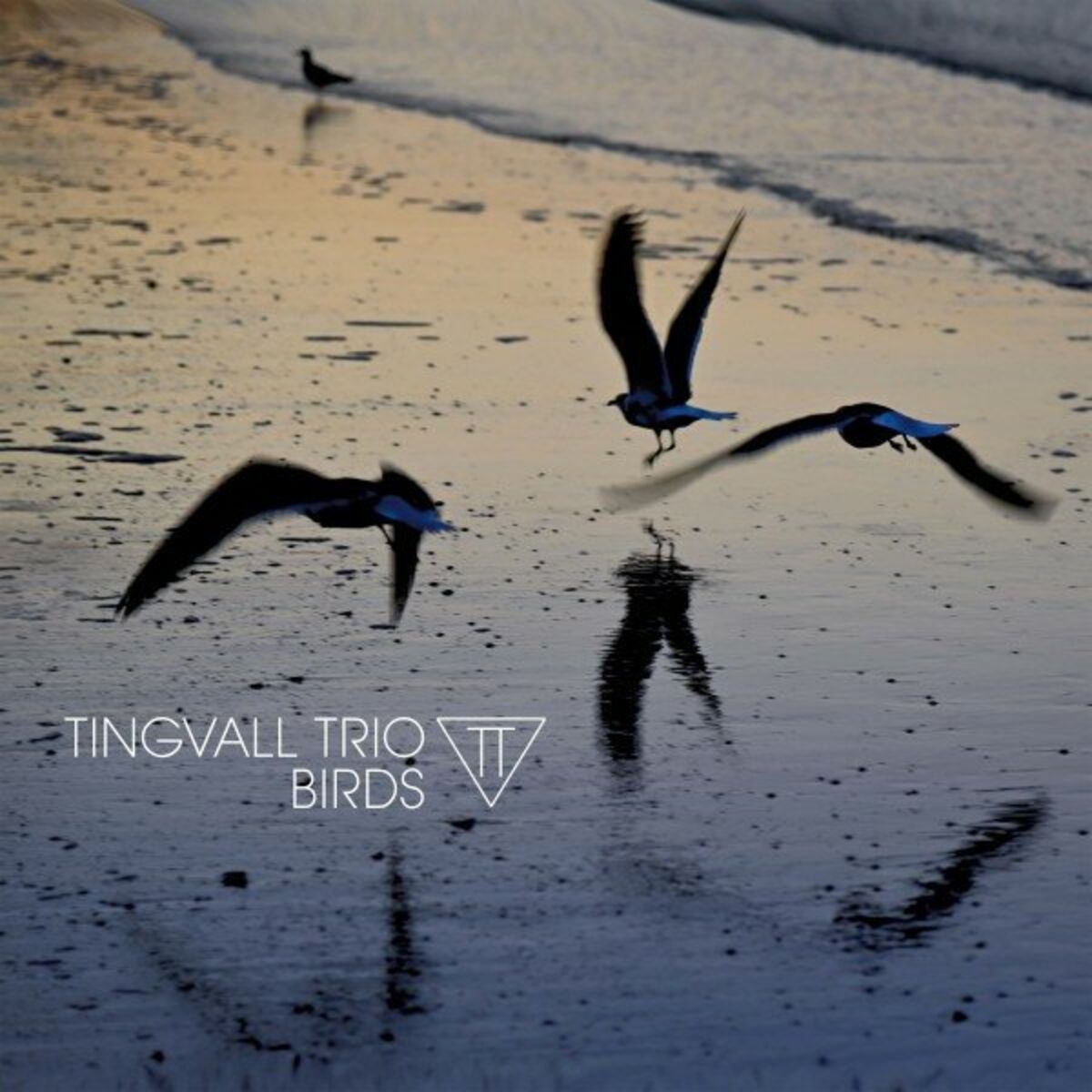 Album cover of Birds