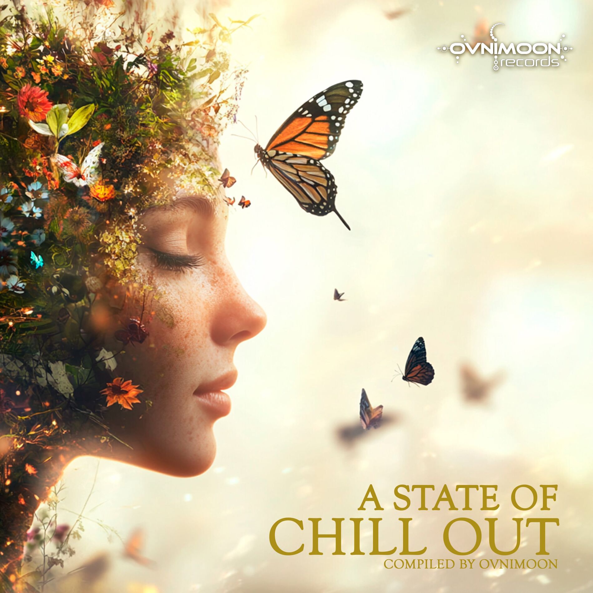 Album cover of Silent Days