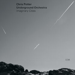 Cover of Imaginary Cities